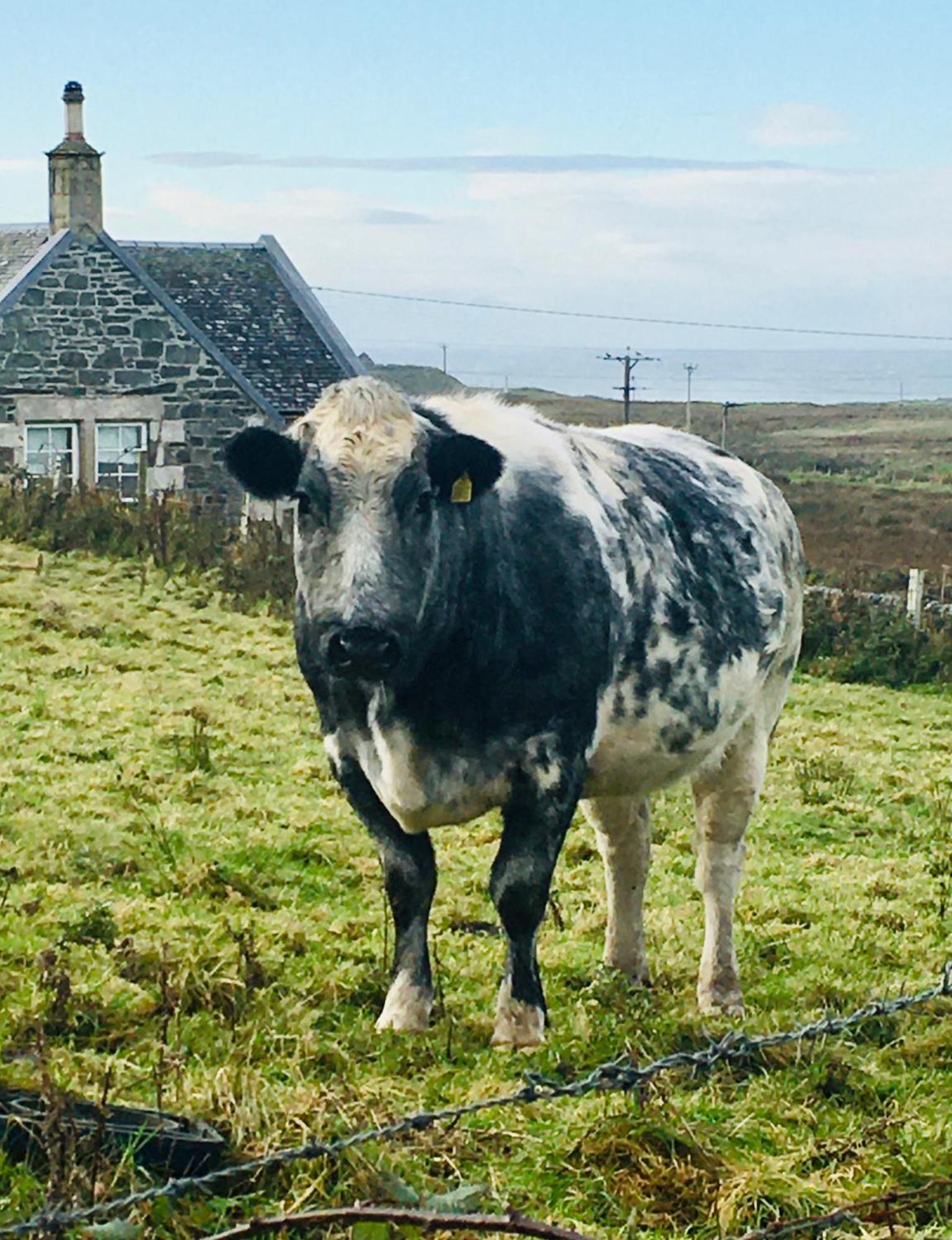 Burnside Lodge Portnahaven Dış mekan fotoğraf