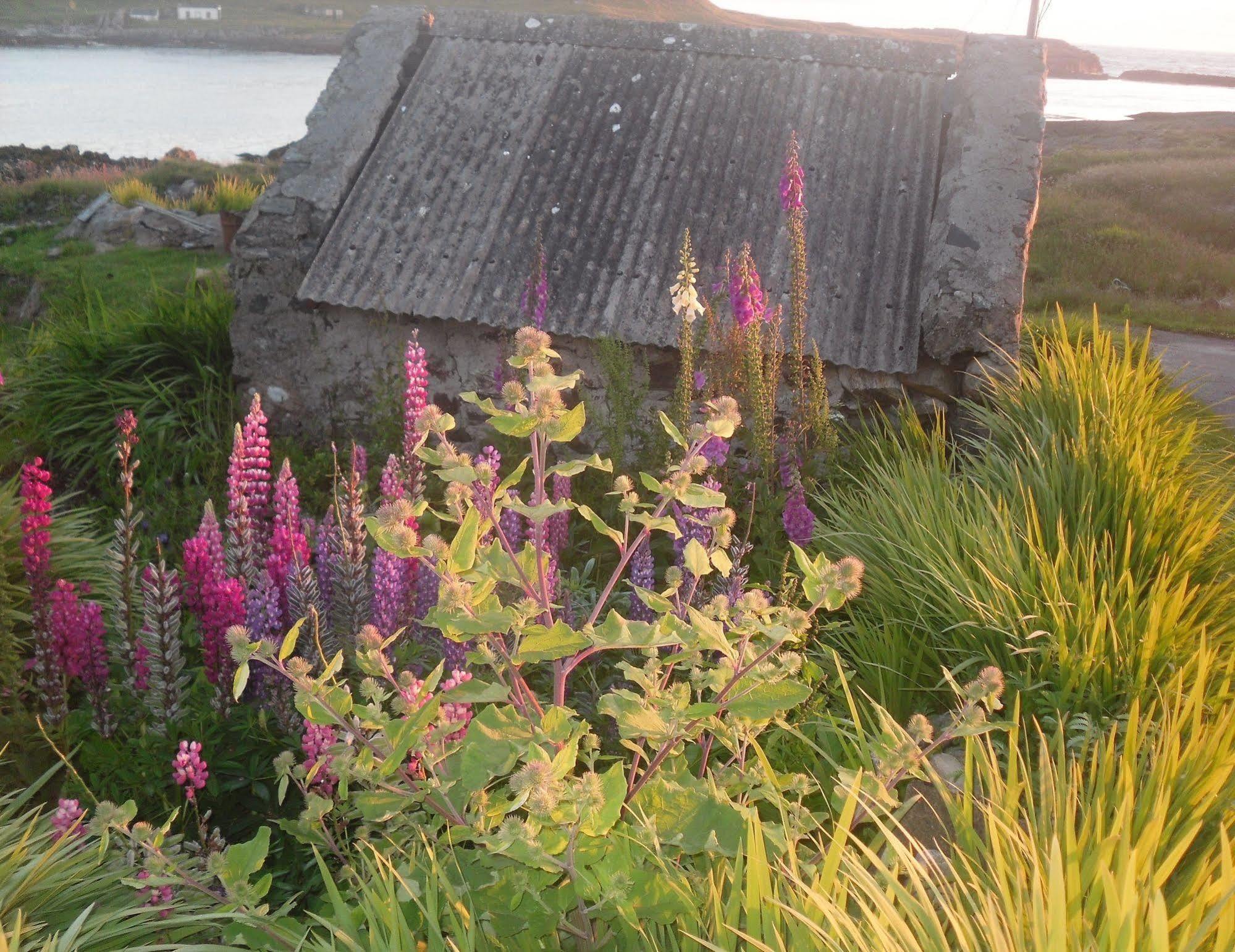 Burnside Lodge Portnahaven Dış mekan fotoğraf